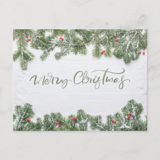 Winter Wonderland Merry Christmas Calligraphy Pine Holiday Postcard