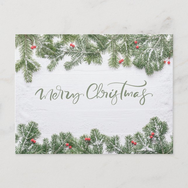 Winter Wonderland Merry Christmas Calligraphy Pine Holiday Postcard (Front)