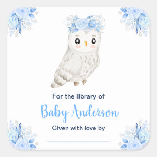 Winter Wonderland Owl Baby Shower Bookplate Square Sticker