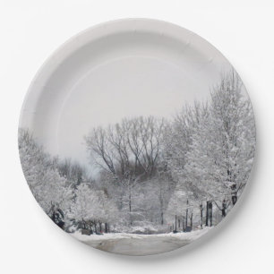 WINTER WONDERLAND PAPER PLATE