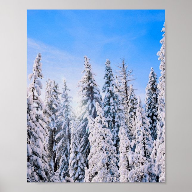Winter Wonderland Pine Trees in Snow Poster (Front)