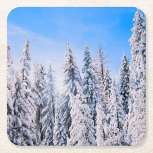 Winter Wonderland Pine Trees in Snow Square Paper Coaster