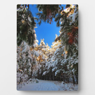 Winter Wonderland Plaque