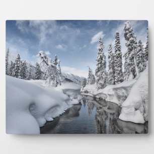 Winter Wonderland Plaque