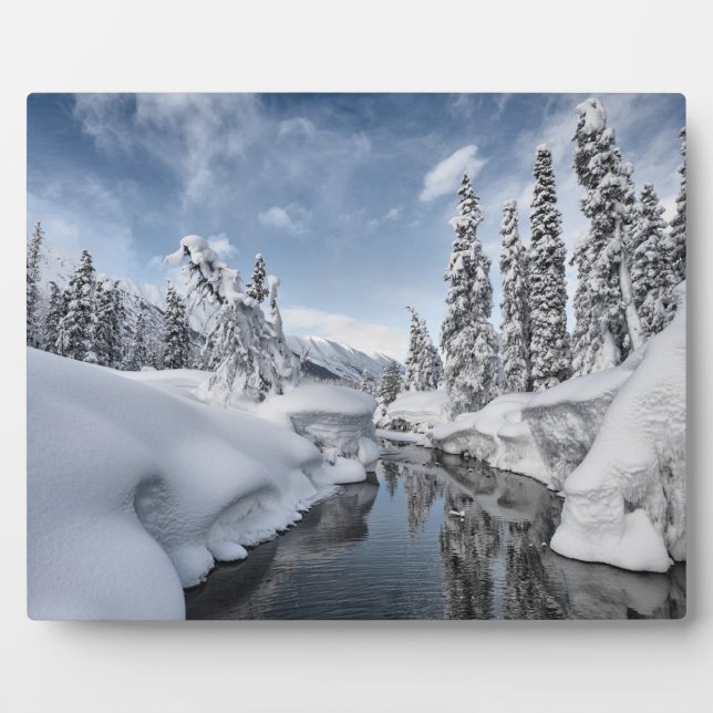 Winter Wonderland Plaque (Front)