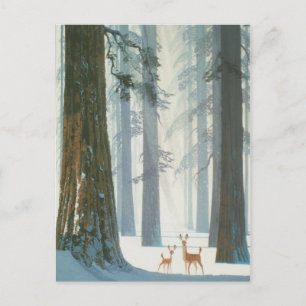 Winter Wonderland Postcard