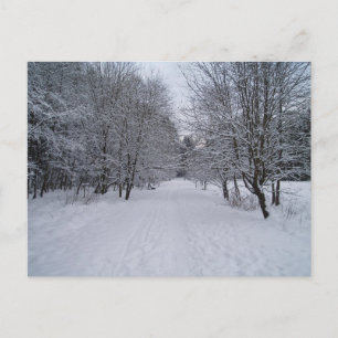 Winter wonderland postcard