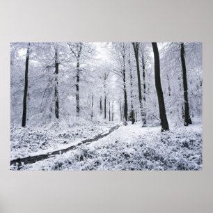 Winter Wonderland Poster