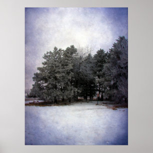 Winter Wonderland Poster