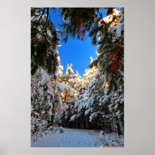 Winter Wonderland Poster