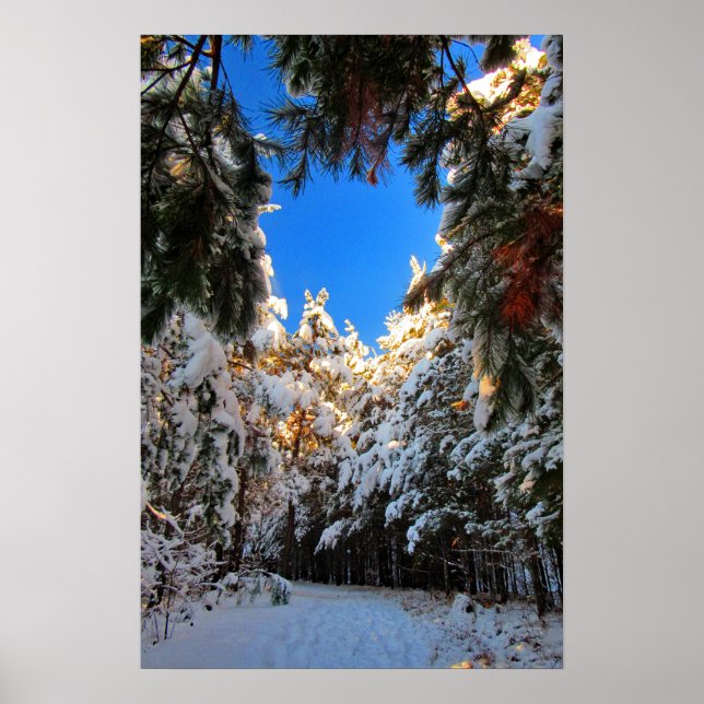Winter Wonderland Poster (Front)