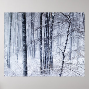 Winter Wonderland Poster