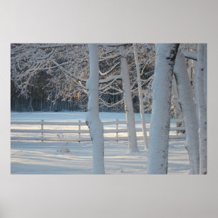 Winter Wonderland Poster