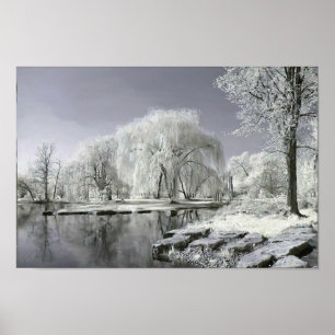 Winter Wonderland Poster