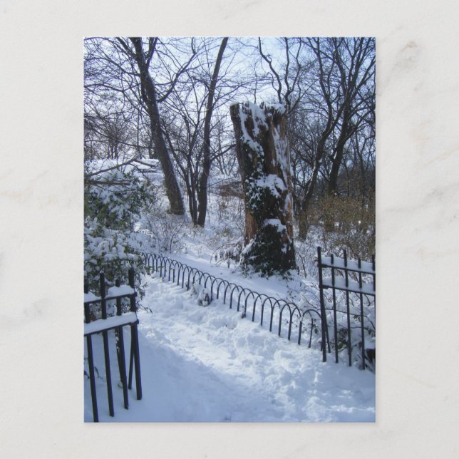 Winter Wonderland Riverside Park New York City NYC Postcard (Front)