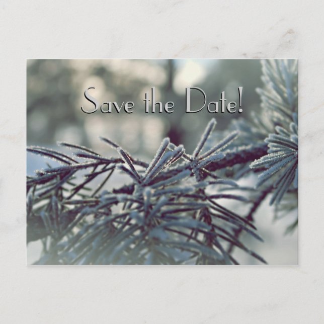 Winter Wonderland Save the Date Postcard (Front)
