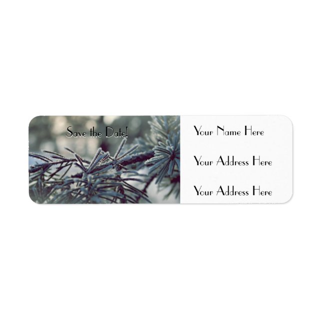 Winter Wonderland Save the Date Return Address Label (Front)