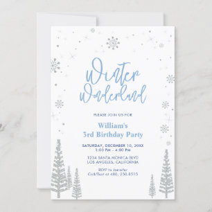 Winter Wonderland - Silver Boy Birthday Invitation