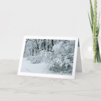 Winter Wonderland - Snow-draped foliage Holiday Card
