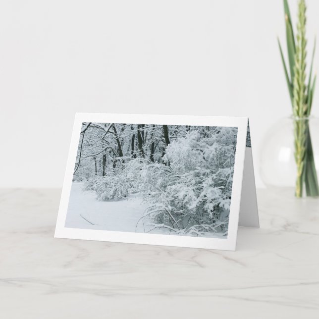 Winter Wonderland - Snow-draped foliage Holiday Card (Front)