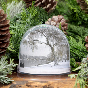 Winter Wonderland Snow Globe Snow Forest Snowglobe