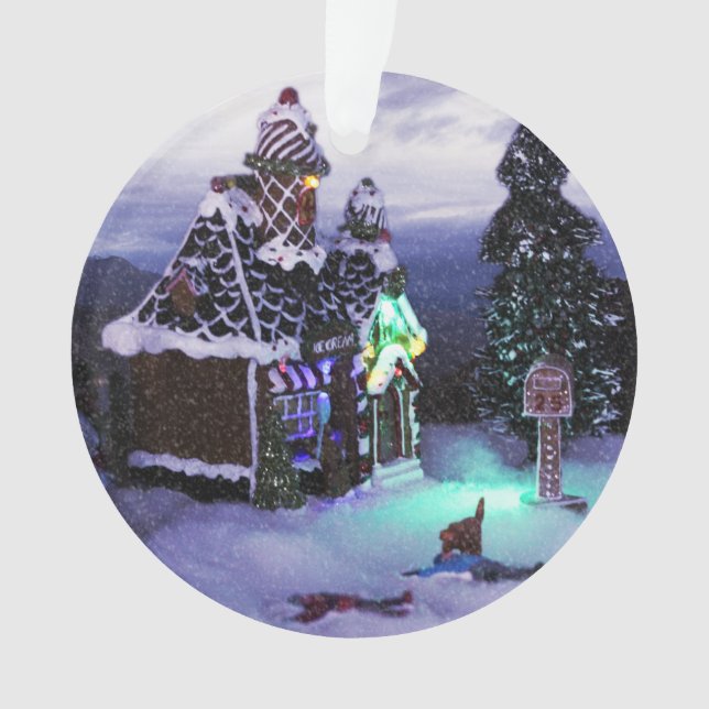 Winter Wonderland Snow Scene 2020 Ornament (Front)