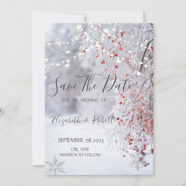 Winter Wonderland,Snow String Lights Save The Date (Front)