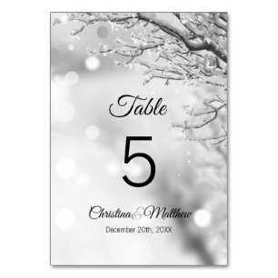 Winter Wonderland Snow Wedding Ceremony Table Number