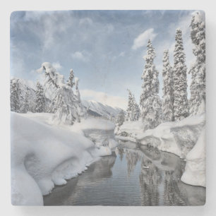 Winter Wonderland Stone Coaster