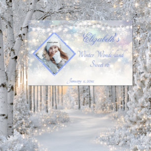Winter Wonderland Sweet Sixteen Diamonds Sparkle Banner