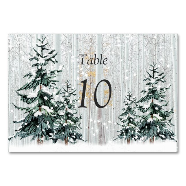 Winter Wonderland Wedding Stars Pine Trees  Table  Number (Front)