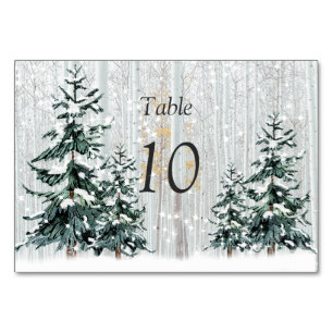 Winter Wonderland Wedding Stars Pine Trees  Table  Table Number