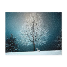 Winter Wonderland with Rabbit