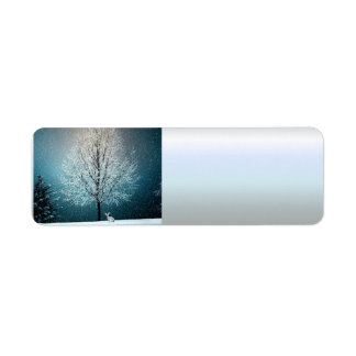 Winter Wonderland with Rabbit Return Address Label
