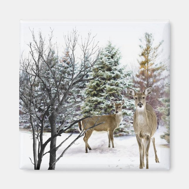 Winter Wonderland with  Whitetail Deer Fridge Magnet (Front)