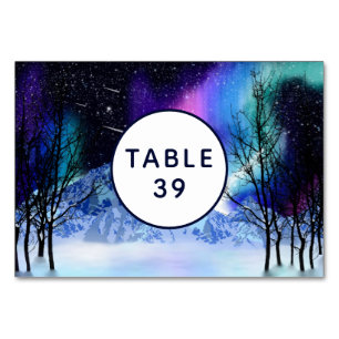 Winter Wonderlights Table Number