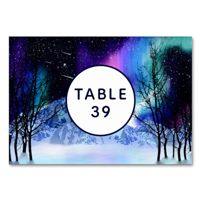 Winter Wonderlights Table Number (Front)