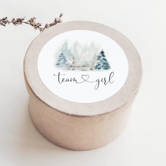 Winter woodland gender reveal team girl stickers (Creator Uploaded)