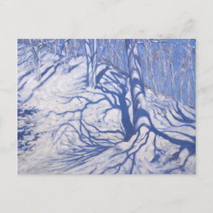 Winter Woodland near Courcheval 2008 Postcard
