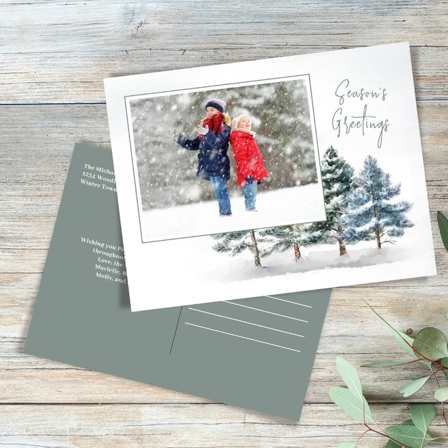 Winter Woodland Season's Greetings Photo Holiday Postcard (Season's Greetings holiday photo postcard.)