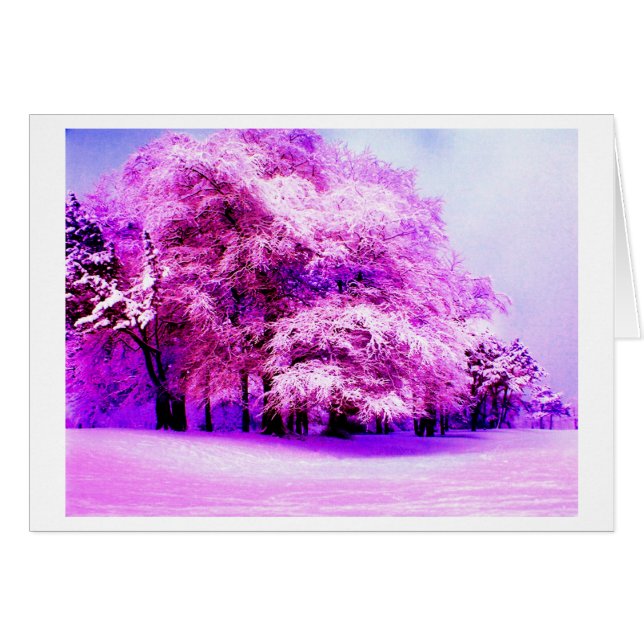 Winter woods (Front Horizontal)
