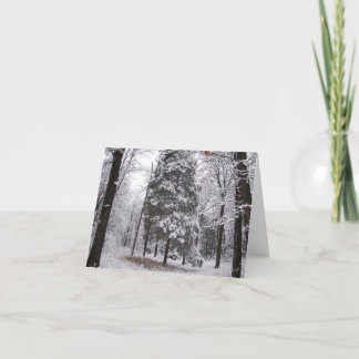 Winter Woods Blank Greeting Card