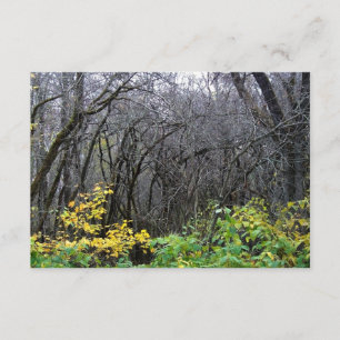 Winter woods cards