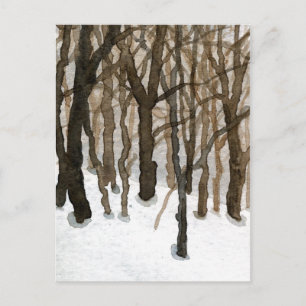 "Winter Woods" Country Roads Postcard