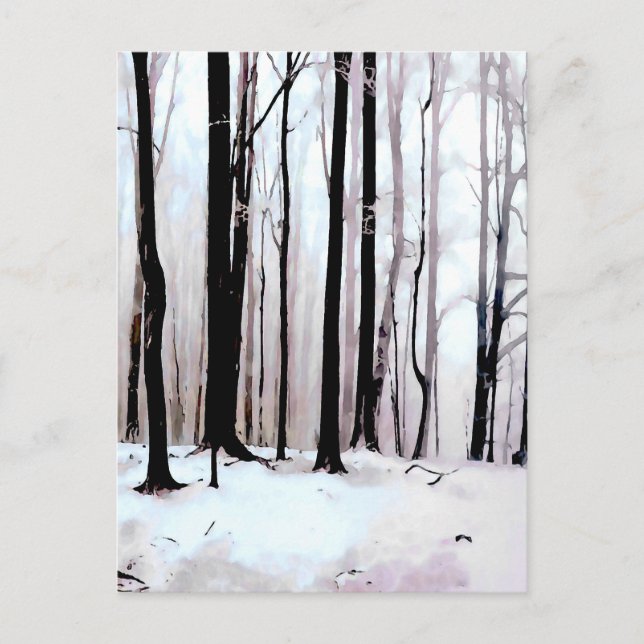 Winter woods scene postcard (Front)