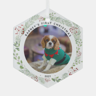 Winter Wreath Pet's photo  Glass Tree Decoration