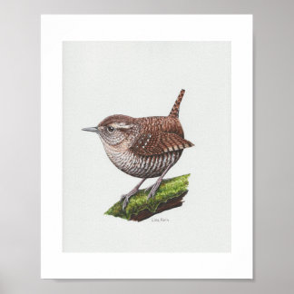 Winter Wren Art Print
