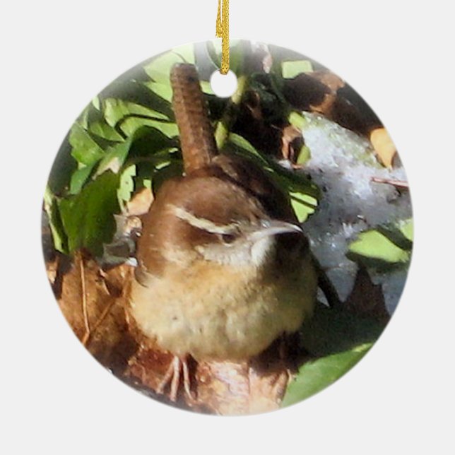 Winter Wren Ceramic Ornament (Back)