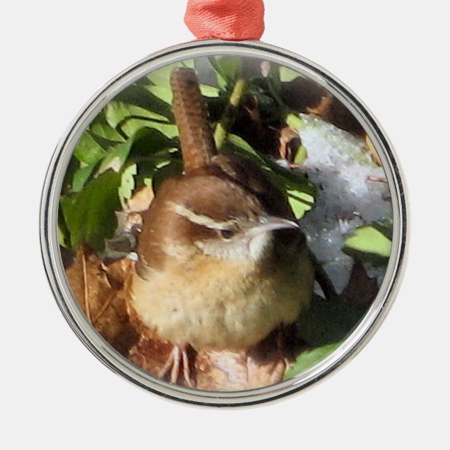 Winter Wren Metal Tree Decoration (Front)