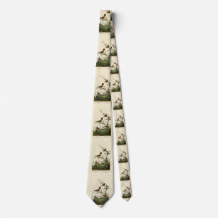 Winter Wren, Rock Wren, Audubon's Birds of America Tie